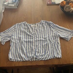 Mustard Seed Blue and White Striped Blouse